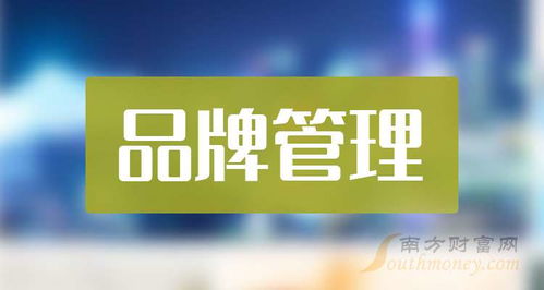 2024年品牌管理概念上市公司名单梳理